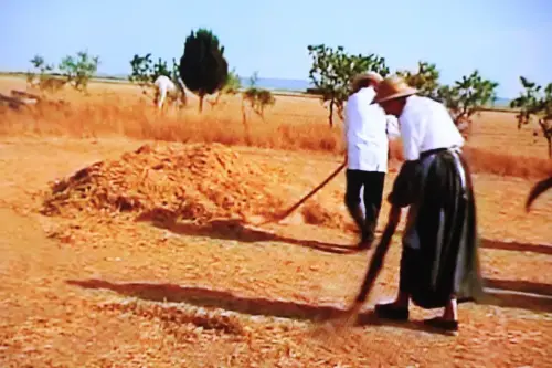 Oficios-Agricultor-Trilla3