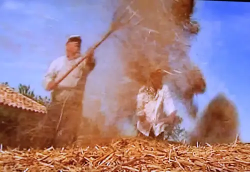 Oficios-Agricultor-Trilla4