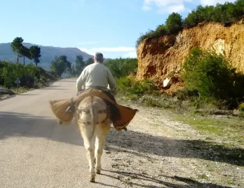 Oficios-Agricultor10