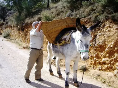 Oficios-Agricultor11