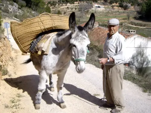 Oficios-Agricultor11a