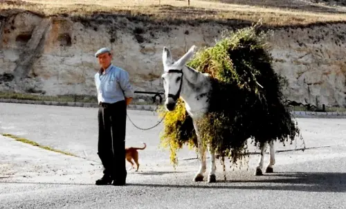 Oficios-Agricultor13