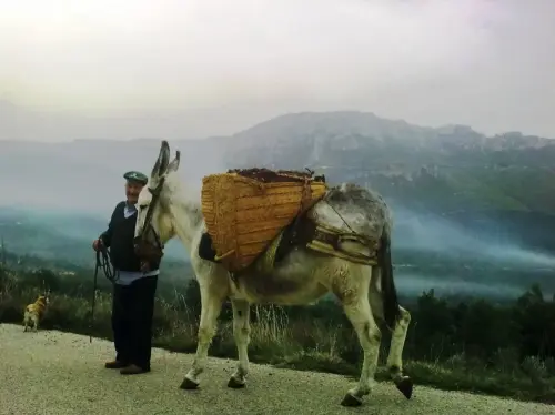 Oficios-Agricultor14