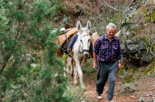 Oficios-Agricultor15