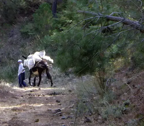Oficios-Agricultor16