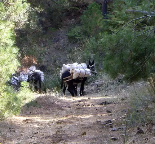 Oficios-Agricultor16a