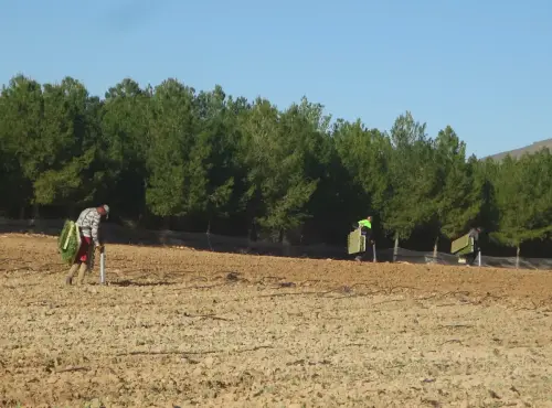 Oficios-Agricultor17