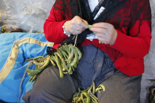 Oficios-Enristrando-judias