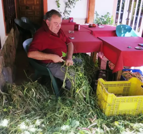 Oficios-Enristrando-judias2