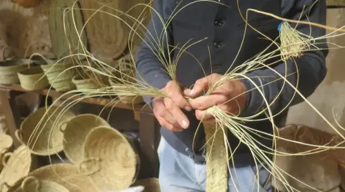 Oficios-Esparto4