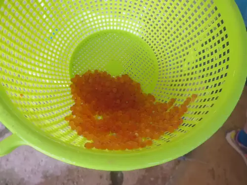 Oficios-Acuicultor16