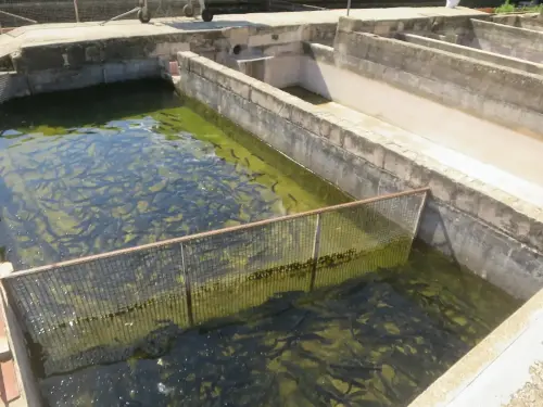 Oficios-Acuicultor27