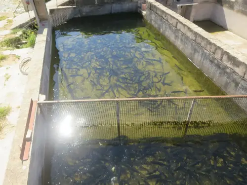 Oficios-Acuicultor28