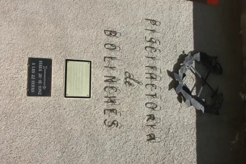 Piscifactoria-Bolinches-Valdeganga