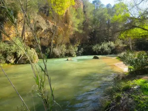 Piscifactoria-Gallegp-Elche-de-la-Sierra11