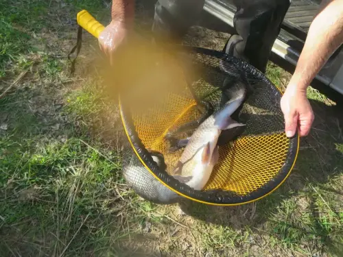 Piscifactoria-Gallegp-Elche-de-la-Sierra4