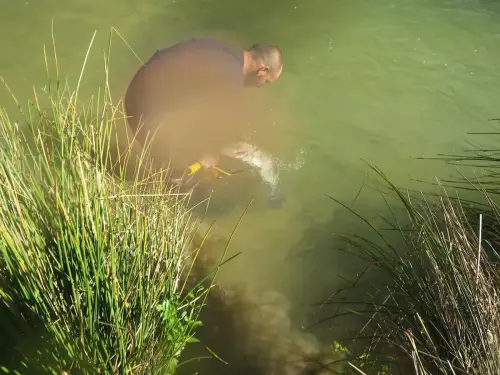 Piscifactoria-Gallegp-Elche-de-la-Sierra5