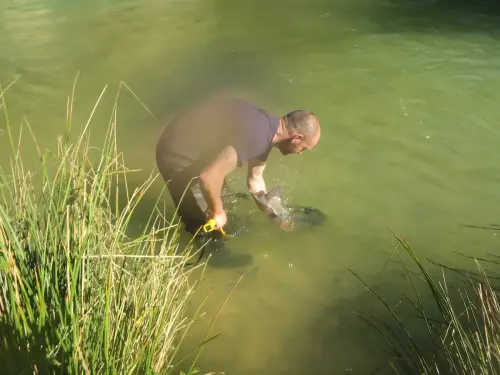 Piscifactoria-Gallegp-Elche-de-la-Sierra6