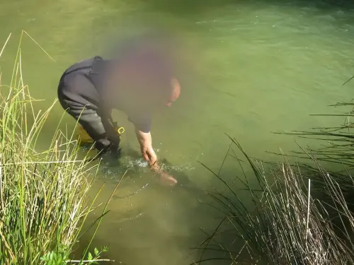 Piscifactoria-Gallegp-Elche-de-la-Sierra7