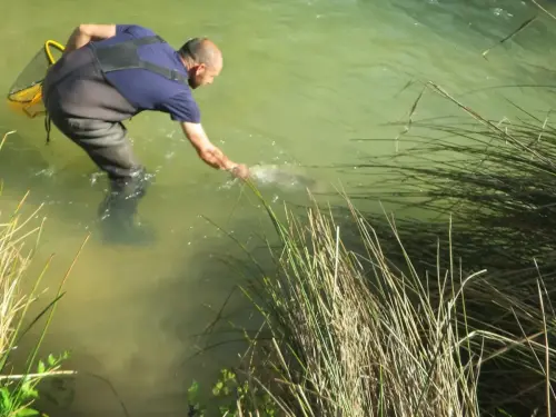 Piscifactoria-Gallegp-Elche-de-la-Sierra8