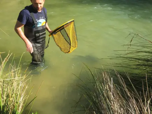 Piscifactoria-Gallegp-Elche-de-la-Sierra9