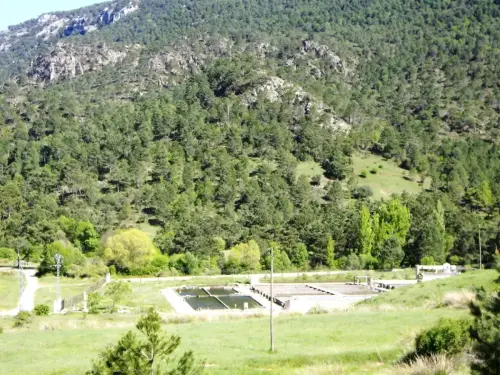 Piscifactoria-Riopar