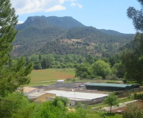 Piscifactoria-Riopar14