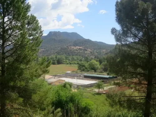 Piscifactoria-Riopar15