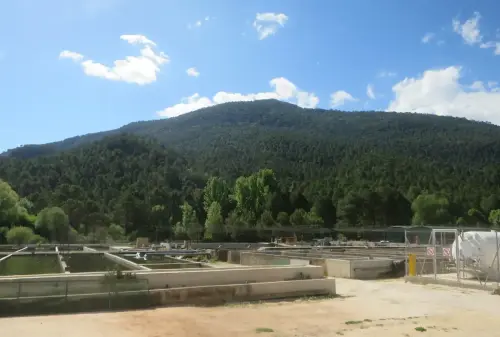 Piscifactoria-Riopar17