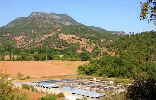 Piscifactoria-Riopar3