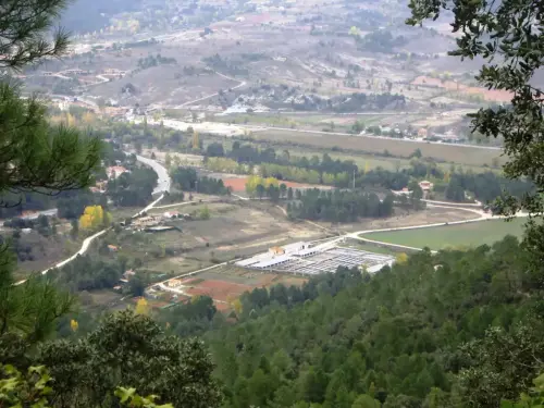 Piscifactoria-Riopar5