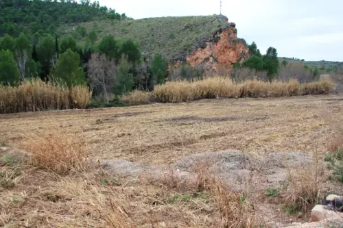 12d-Arrozales-Quemado-y-labrado-enero