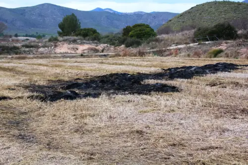12f-Arrozales-Quemado-y-labrado-enero