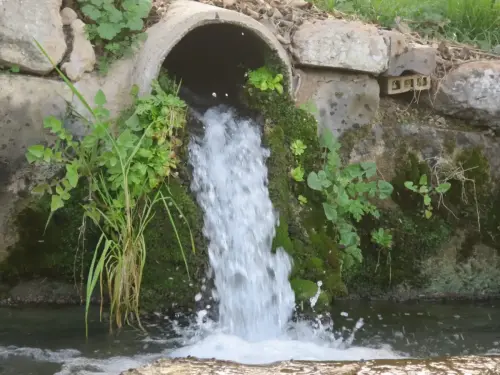 14c-Arrozales-LLenando-el-bancal-mayo