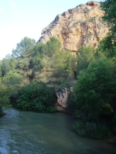 15-Arrozales-Ya-llenado25-mayo