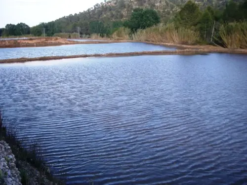 15b-Arrozales-Ya-llenado25-mayo