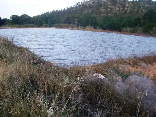 15c-Arrozales-Ya-llenado25-mayo