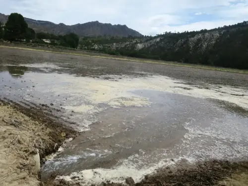 15h-Arrozales-Ya-llenado