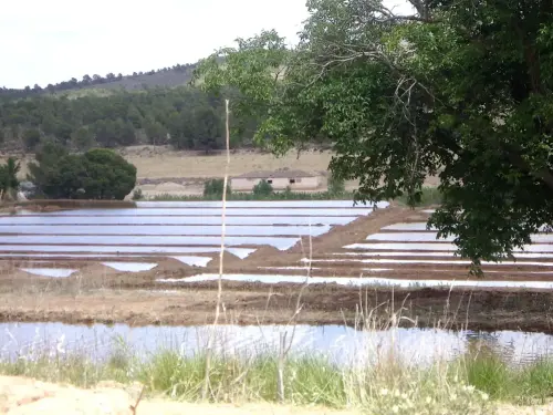 15m-Arrozales-Ya-llenado