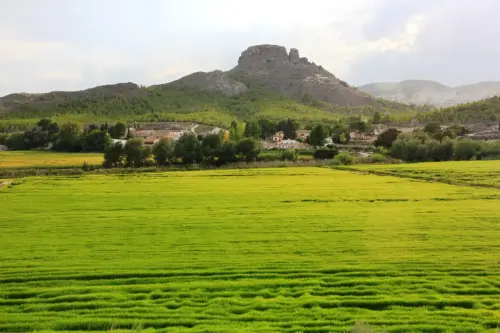 19a-Arrozales-Septiembre-en-Las-Minas