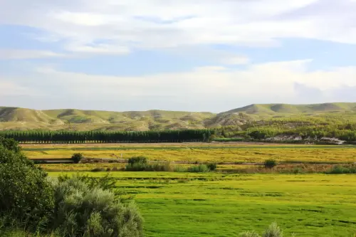 19b-Arrozales-Septiembre-en-Las-Minas