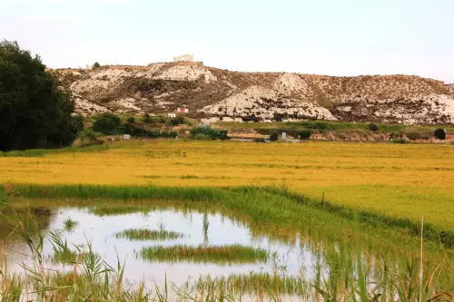 19f-Arrozales-Septiembre-en-Las-Minas