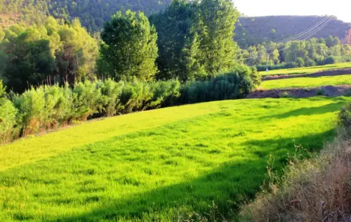 20f-Arrozales-maduros-Septiembre-en-el-rio-Mundo