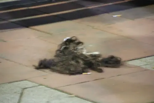 Auto-Reyes-Magos-Vianos102