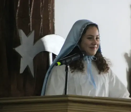 Auto-Reyes-Magos-Vianos109