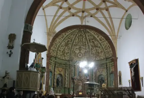 Auto-Reyes-Magos-Vianos110