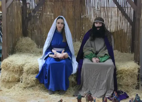 Auto-Reyes-Magos-Vianos112