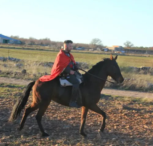 Auto-Reyes-Magos-Vianos12