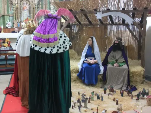 Auto-Reyes-Magos-Vianos120