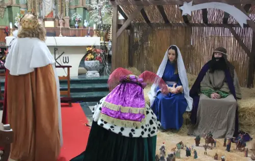 Auto-Reyes-Magos-Vianos127